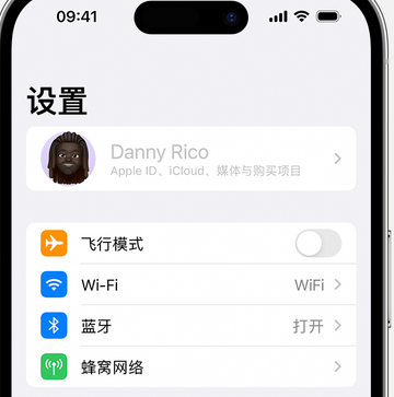 伊吾appleID维修服务iPhone设置中Apple ID显示为灰色无法使用 