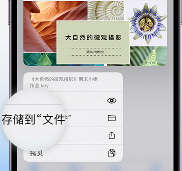 伊吾apple维修中心分享iPhone文件应用中存储和找到下载文件