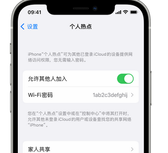 伊吾apple服务站点分享iPhone上个人热点丢失了怎么办