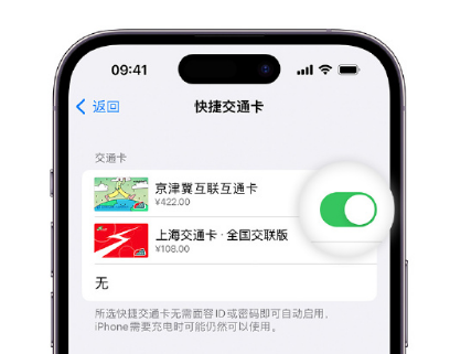 伊吾apple维修点分享iPhone上更换Apple Pay快捷交通卡手绘卡面 