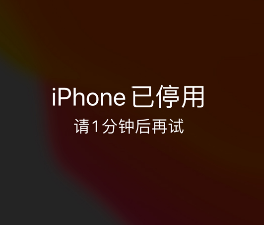 伊吾苹果手机维修分享:iPhone 显示“不可用”或“已停用”怎么办？还能保留数据吗？ 