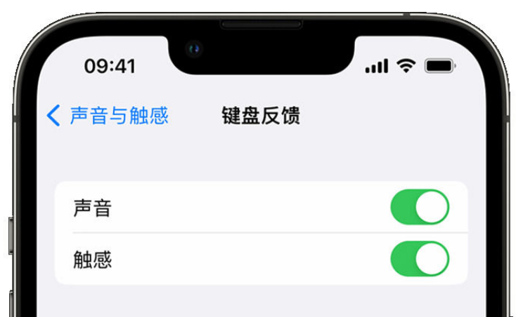 伊吾苹果手机维修分享iPhone 14触感键盘使用方法 