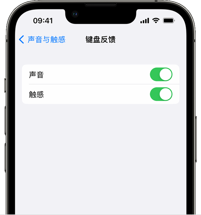 伊吾苹果14维修店分享如何在 iPhone 14 机型中使用触感键盘 