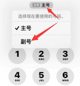 伊吾苹果14维修店分享iPhone 14 Pro Max使用副卡打电话的方法 