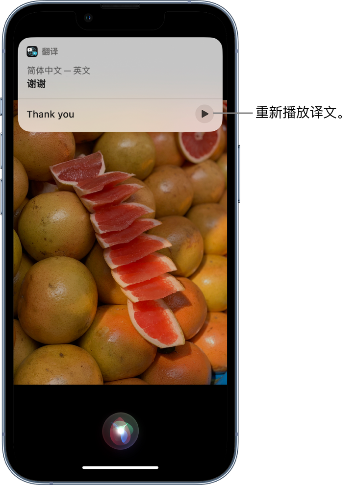 伊吾苹果14维修分享 iPhone 14 机型中使用 Siri：了解 Siri 能帮你做什么 
