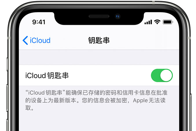 伊吾苹果手机维修分享在 iPhone 上开启 iCloud 钥匙串之后会储存哪些信息 